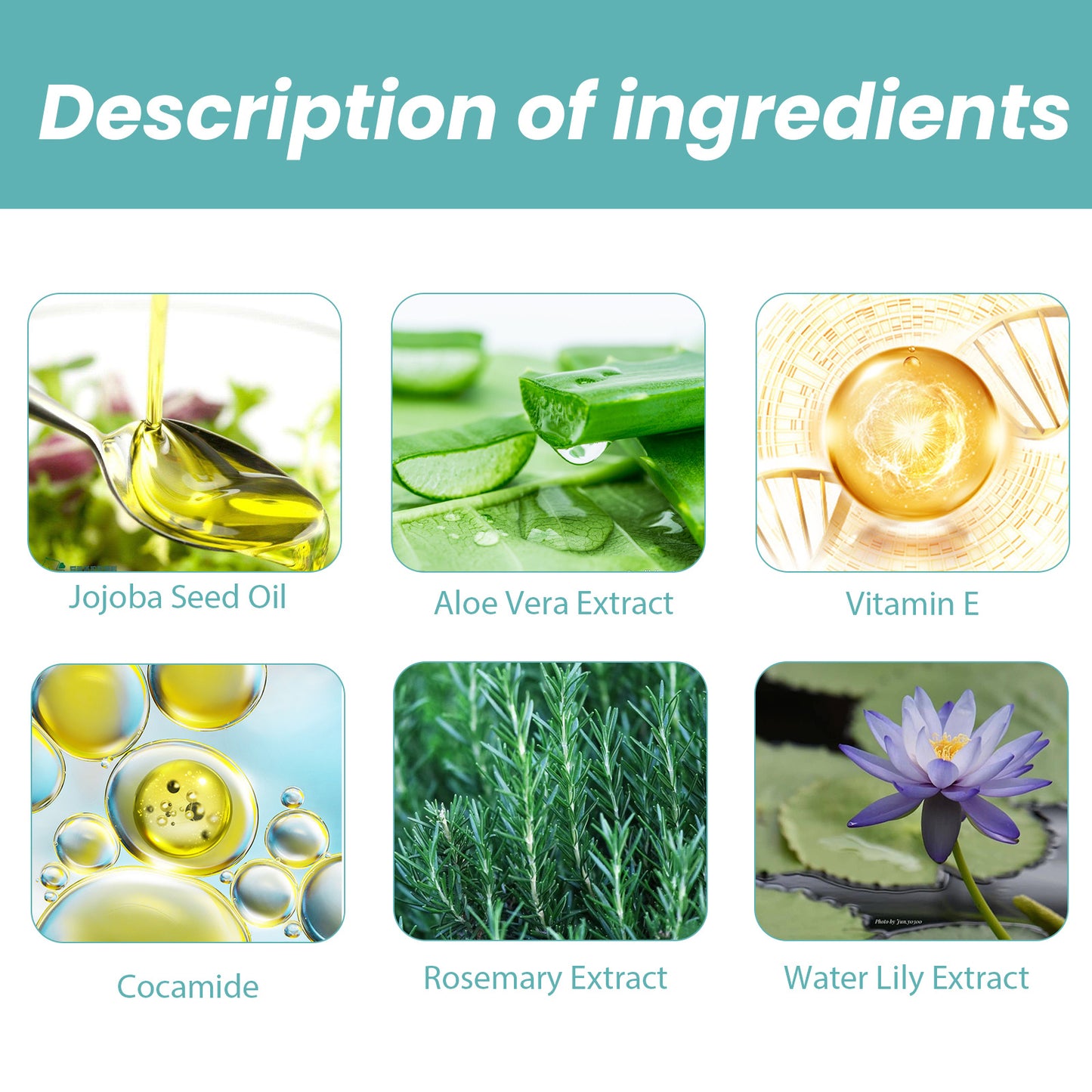 Cleansing Repairing Skin Body Oil - ILLUMEW